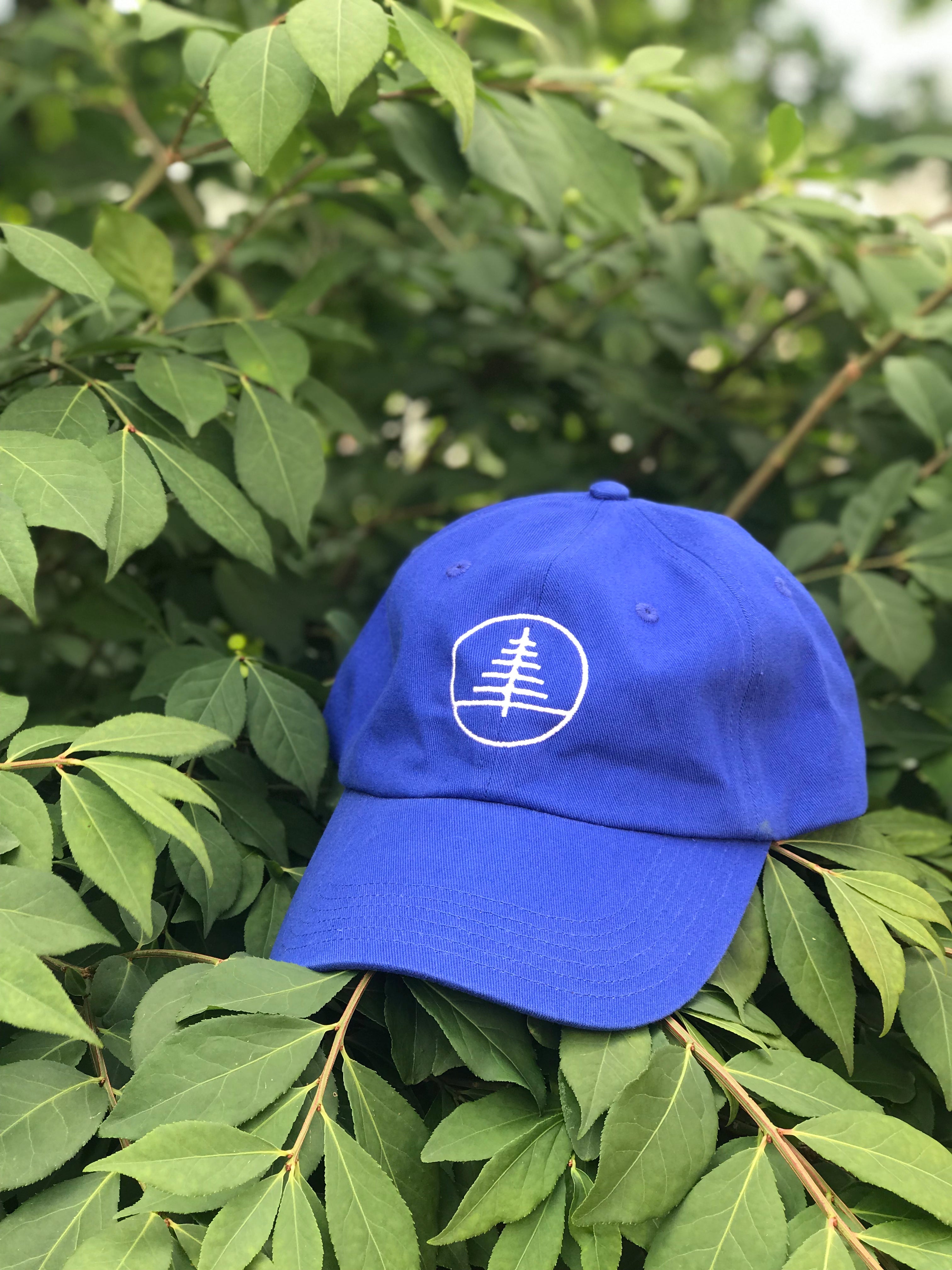 Logo Dad Hat